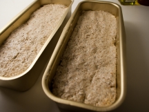 Oppi formen med deigen. Husk å smøre den først!