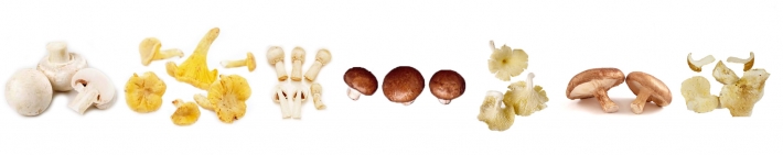sjampinjong, kantarell, beitesjampinjong, aromasopp, østerssopp, shiitake og fåresopp
