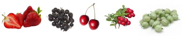 Jordbær (nøttefrukt), solbær, moreller/kirsebær, tyttebær og stikkelsbær