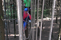 Spiderman, spiderman, does whatever a spider man can...