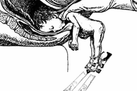 Norwegians are born with skis... 