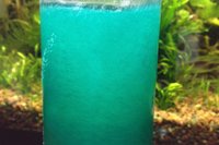 Artig farge på drink ved akvariet