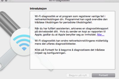 Veiviservinduet