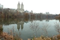 Central Park - En lenger tur på lørdagen