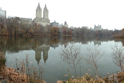 Central Park - En lenger tur på lørdagen