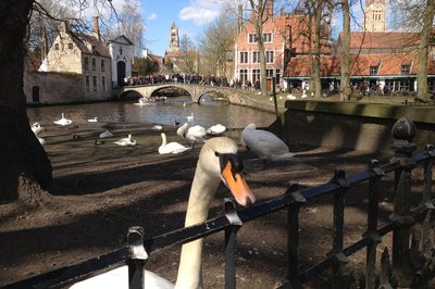 Brugge