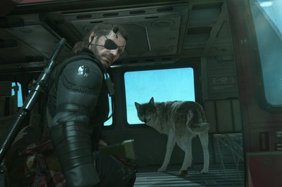 Diamond dog (D-dog)