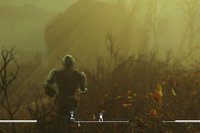 Godrays (Solstråler når de passerer f.eks. grener)