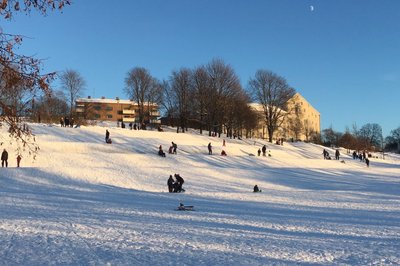 Tøyenparken er svært populær for dem med akebrett.
