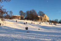 Tøyenparken er svært populær for dem med akebrett.