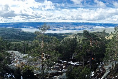 Tur til Geitebuvarden, 4,5km, 505moh