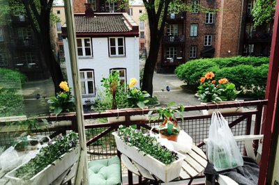 Handlet inn 3 nye blomsterkasser, samt et par nye blomster.