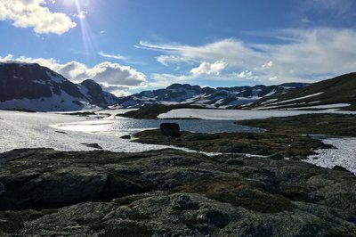 På vei mot Hellevassbu