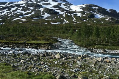 Fremme ved Middalsbu