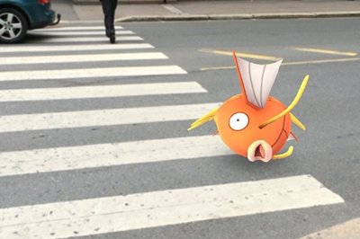 ..så jeg gikk rundt noen dager for å få kontroll på disse skapningene. Her en fisk midt i veien...