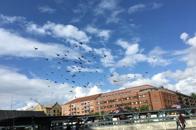 Majorstuen T-banestasjon