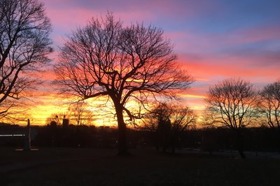 Solnedgang i Tøyenparken
