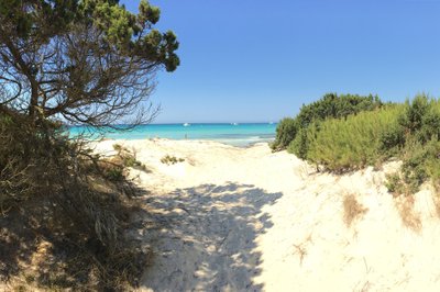 Strand