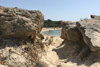 Strand