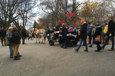 Julemarked i botanisk hage