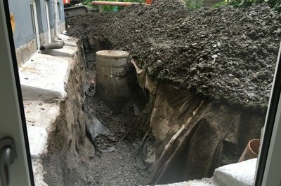 Her fant vi en kum som var begravet under duk og plen