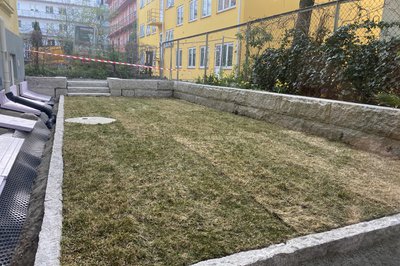 Nylagt ferdigplen. Noe tørr, men vi vannet godt første dagene, før regnet overtok.