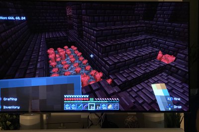 Nether wart er viktig for å kunne lage trylledrikker.