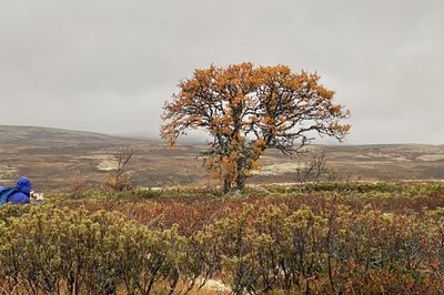 Også her måtte pappa bort for å ta bilder