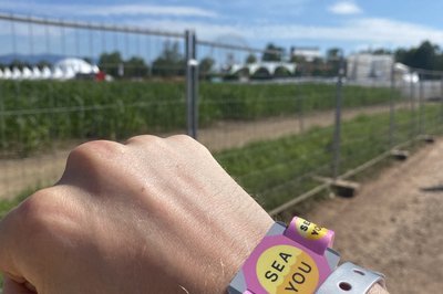 Kom meg inn med riktig armbånd