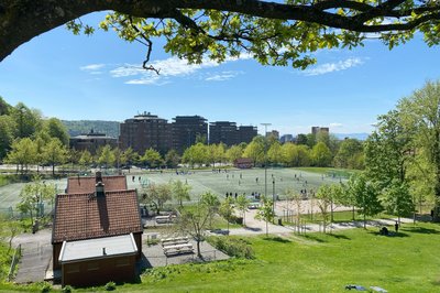 Tøyen park
