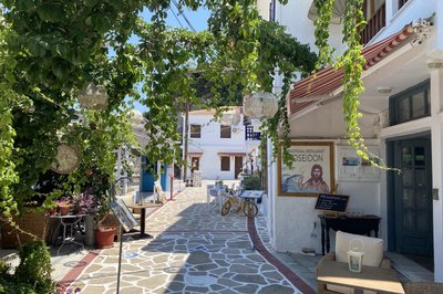 En ekskursjon med besøk til en olivenoljeprodusent og en vingård