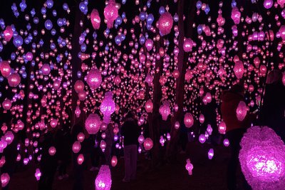 Lysshow i Ekebergparken