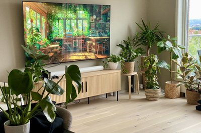 Vi måtte stadig hjemom for å vanne plantene og slappe litt av mellom aktivitetene