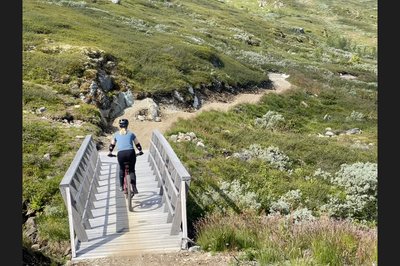 Vi syklet terrengsykkel ned skibakkene en dag
