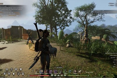 På jakt etter min første alpakka