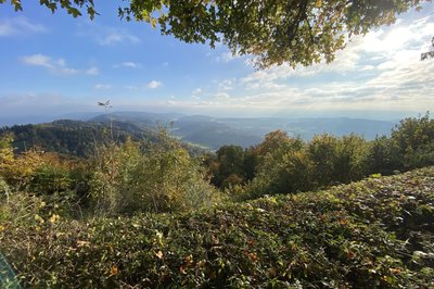 Her er vi oppe på Uetliberg
