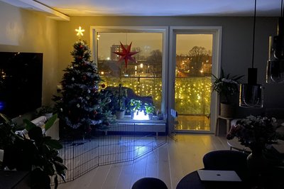 Pyntet juletreet til jul