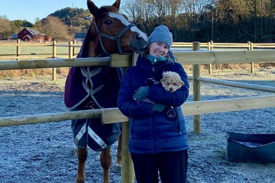 Et stallbesøk på julaften