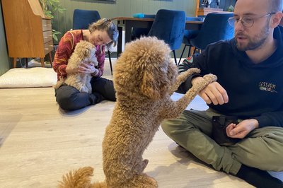 Hos Mia og Jonas, her både Benii og Albus